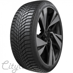 Зимние шины  315/30R21