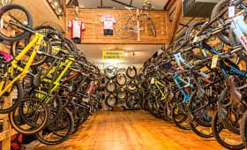 Выбираем современный велосипед: виды и различия