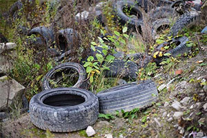 Менее половины автолюбителей соблюдают требования экологичной утилизации