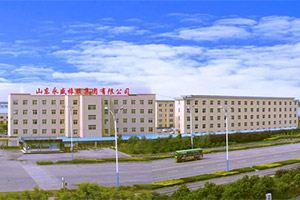 Шины Winrun R330 запретили в ЕС из-за токсичности