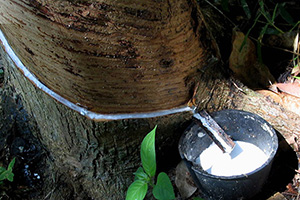 Производства каучука снизится на 4,7 процента